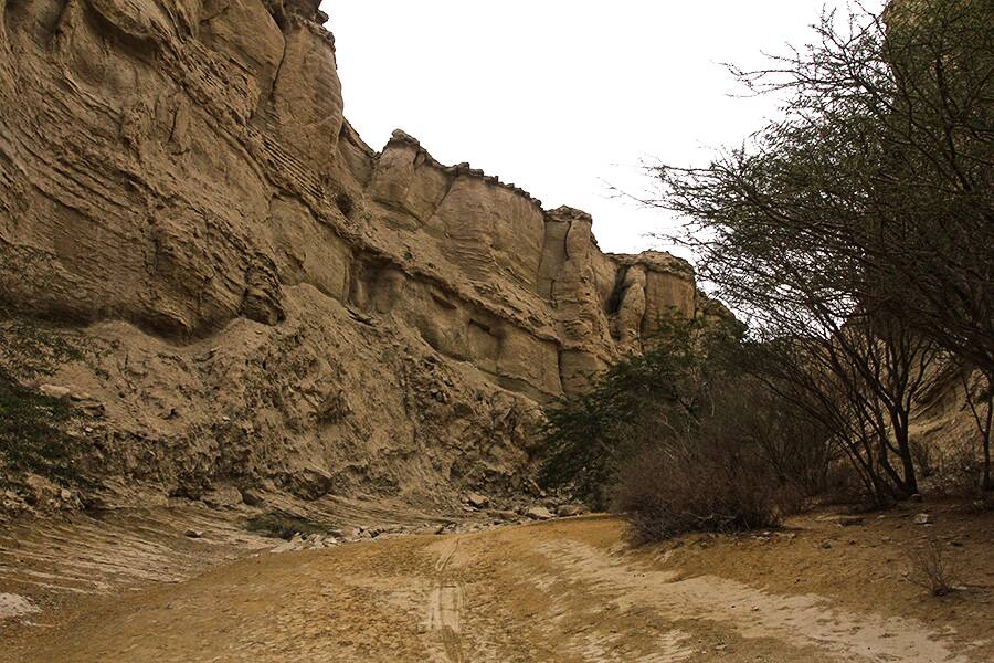 استان هرمزگان